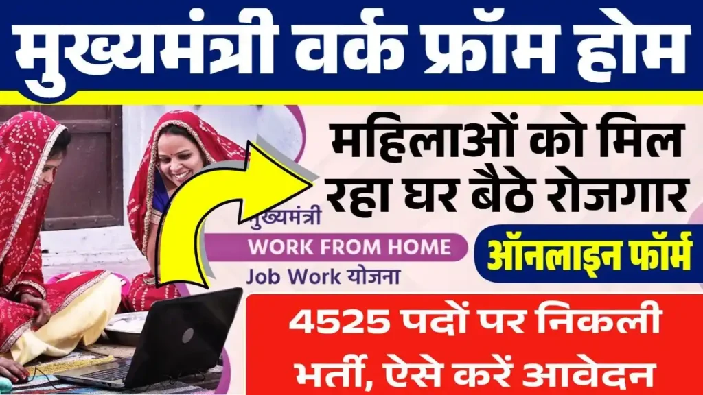 Mukhyamantri Work From Home Yojana